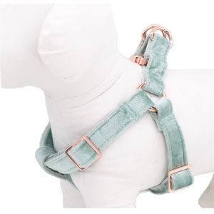 Aring pet harness size small